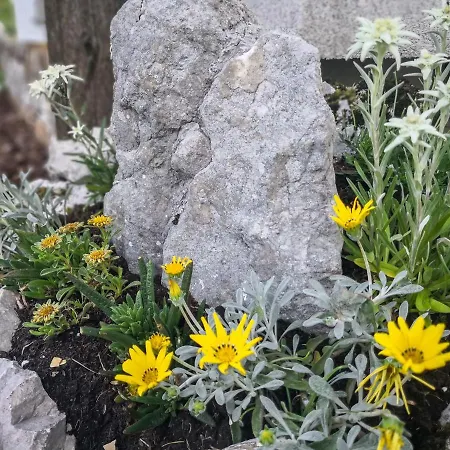 Brvnara Hike & Bike Bohinj