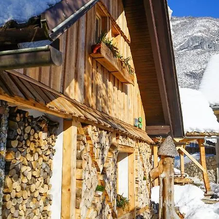 Hike & Bike Chalet Bohinj