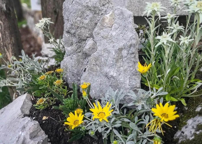 Chalet Hike & Bike Bohinj