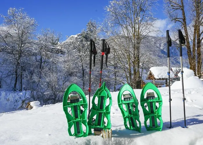 Chalet Hike & Bike Bohinj