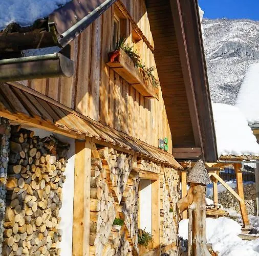 Hike & Bike Dağ evi Bohinj